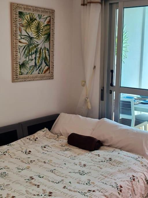 Homely Apt In Modern Building With Pool San Miguel de Abona Zewnętrze zdjęcie