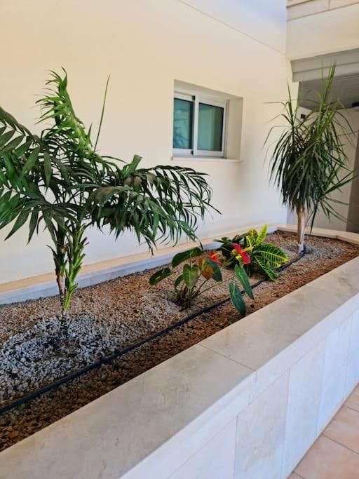 Homely Apt In Modern Building With Pool San Miguel de Abona Zewnętrze zdjęcie